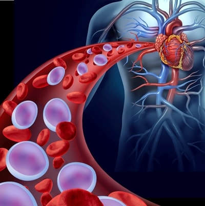 Read more about the article Clinical Trials – Tissue Repair